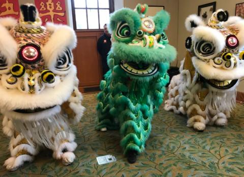 three baby lions from the lion dance tradition