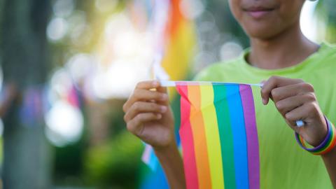 Photo of a person in a green shirt holding a rainbow flag in their hands.