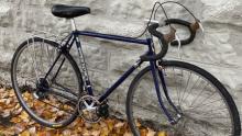 Image of 10 speed vintage Trek bicycle leaning against a brick wall with fall leaves on the ground